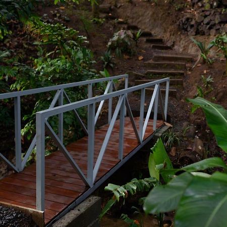 La Fortuna Volcano Gold Loft מראה חיצוני תמונה