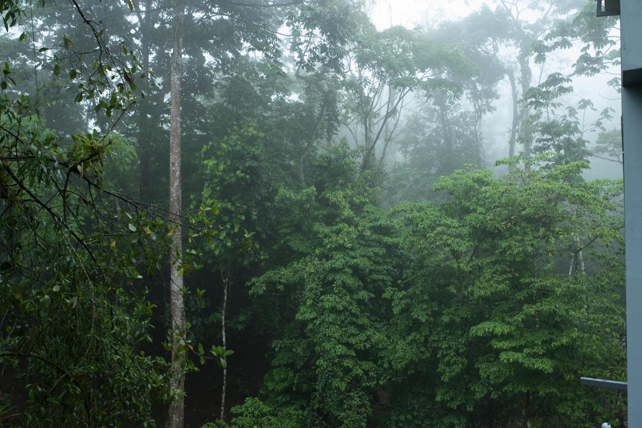 La Fortuna Volcano Gold Loft מראה חיצוני תמונה