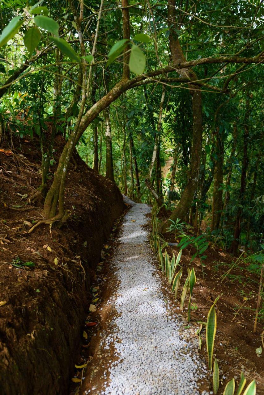 La Fortuna Volcano Gold Loft מראה חיצוני תמונה