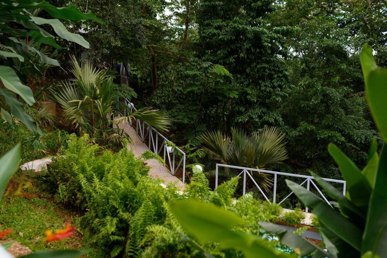 La Fortuna Volcano Gold Loft מראה חיצוני תמונה