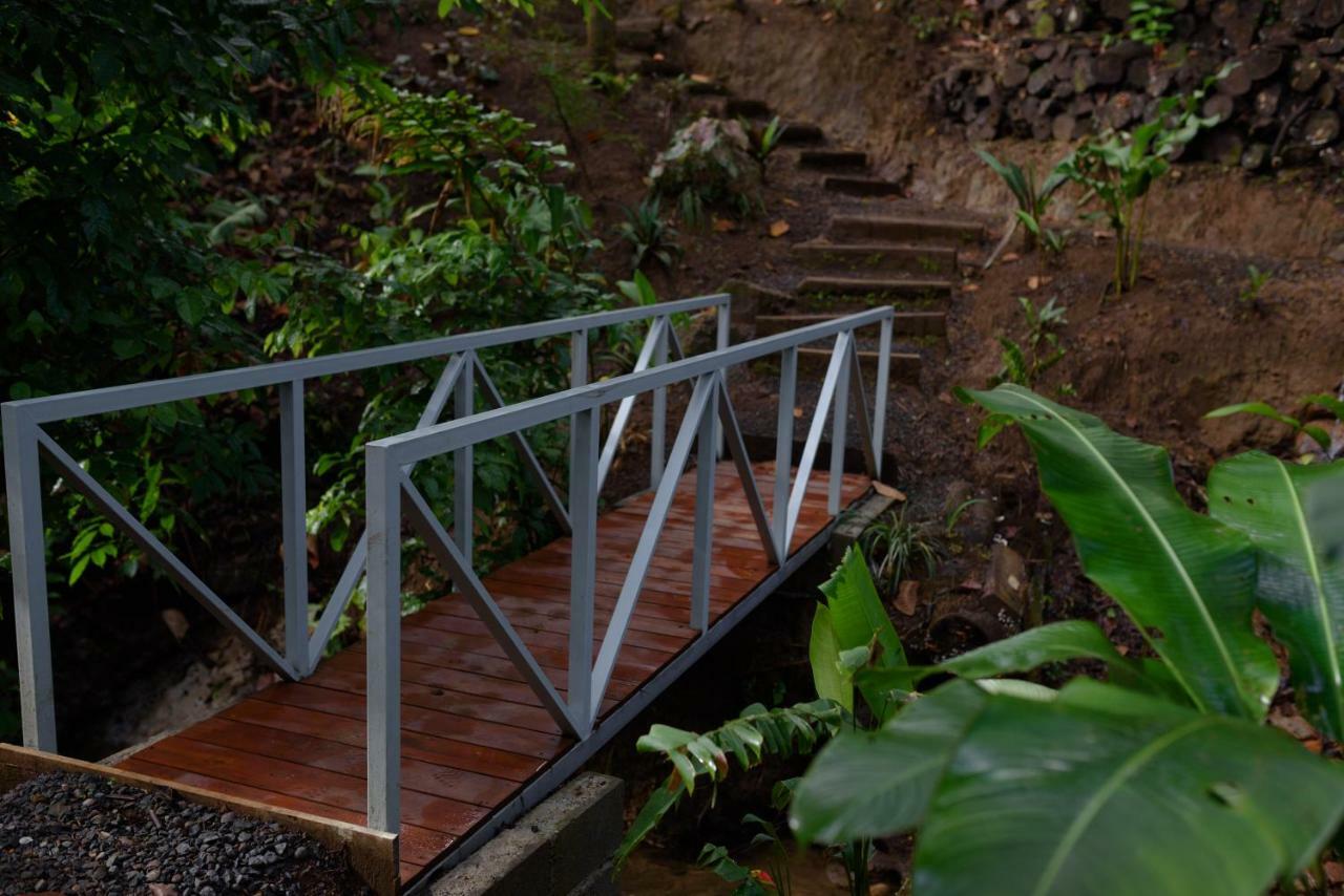 La Fortuna Volcano Gold Loft מראה חיצוני תמונה