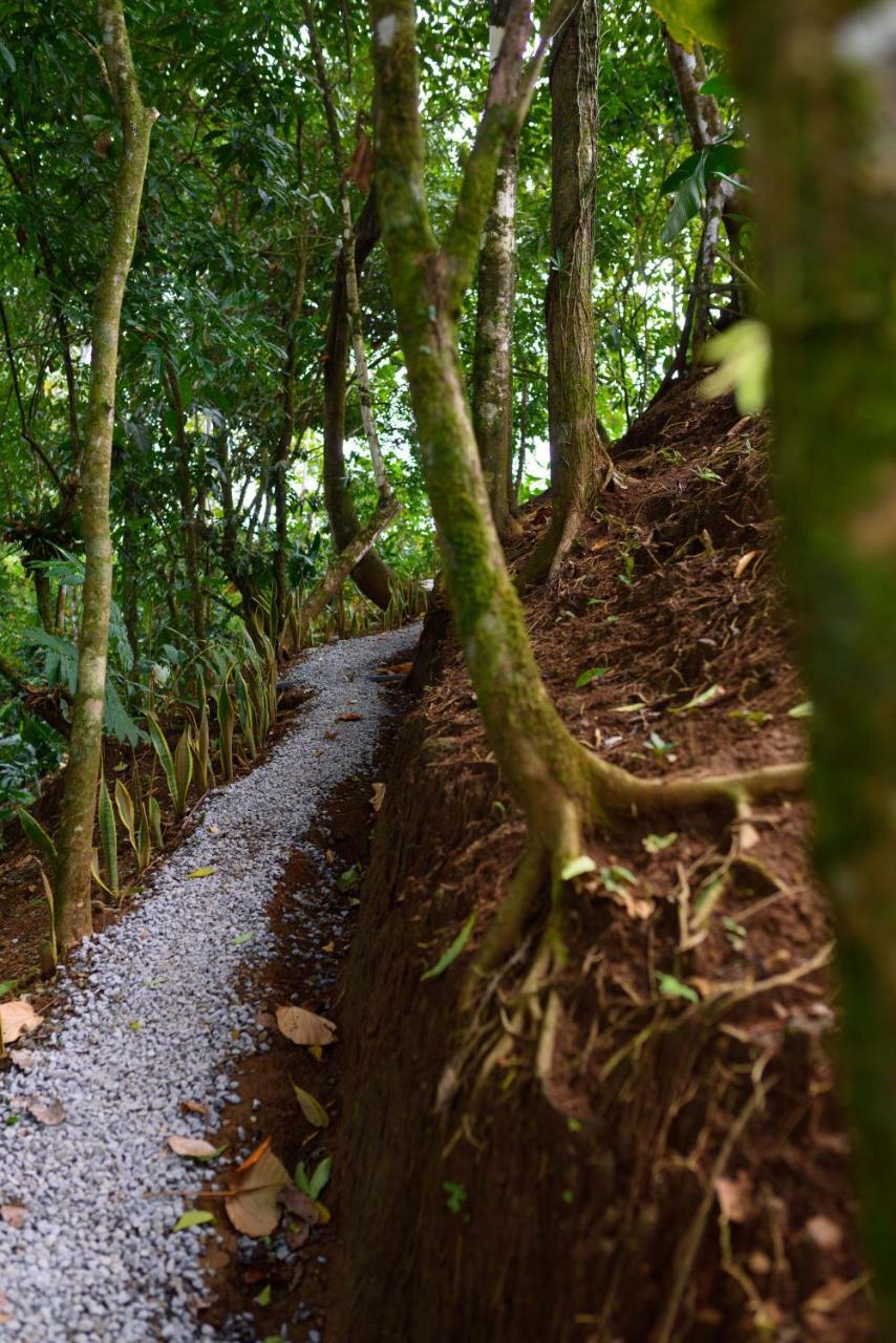 La Fortuna Volcano Gold Loft מראה חיצוני תמונה